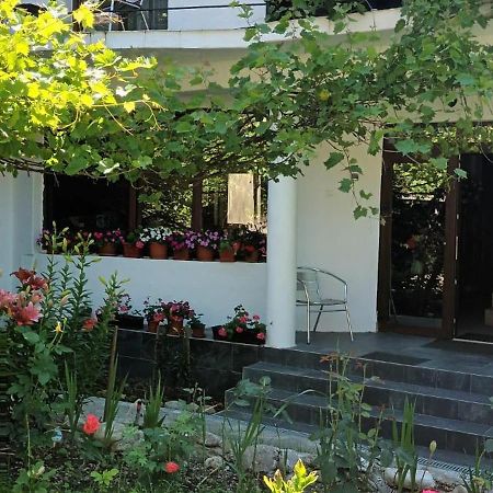 Pensiunea Vila Geany Srl Беїле-Херкулане Екстер'єр фото